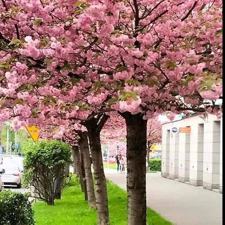 Metro Marymont Comfy Appartamento *