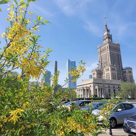 Metro Marymont Comfy *