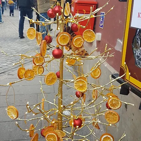 Metro Marymont Comfy Varsavia