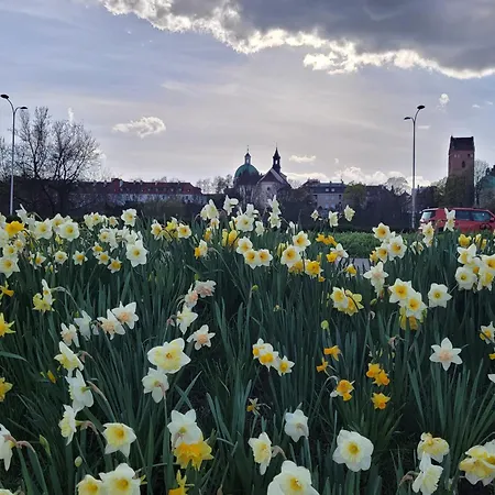 Metro Marymont Comfy *