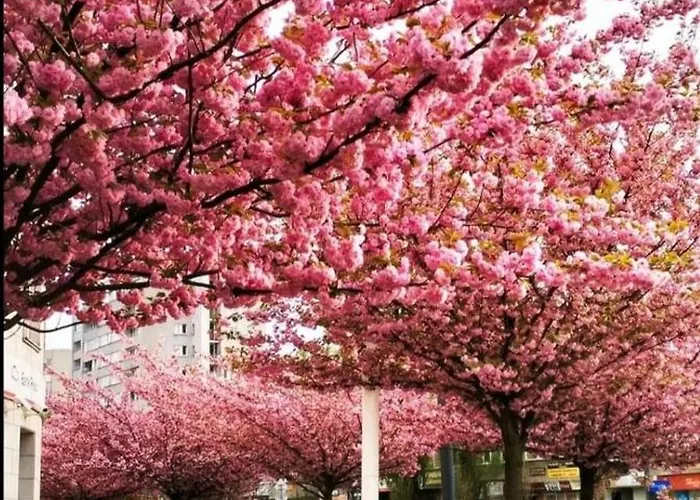 Metro Marymont Comfy Apartment *