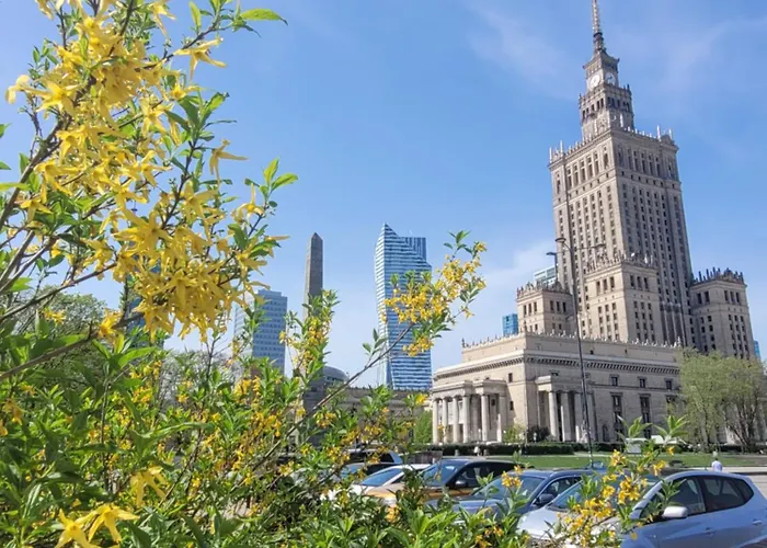 Metro Marymont Comfy *