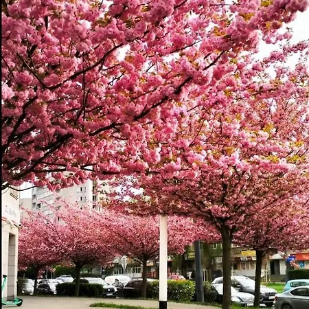 Metro Marymont Comfy Apartamento *