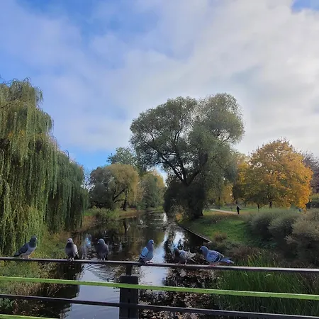 Apartamento Metro Marymont Comfy *