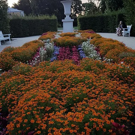 Metro Marymont Comfy