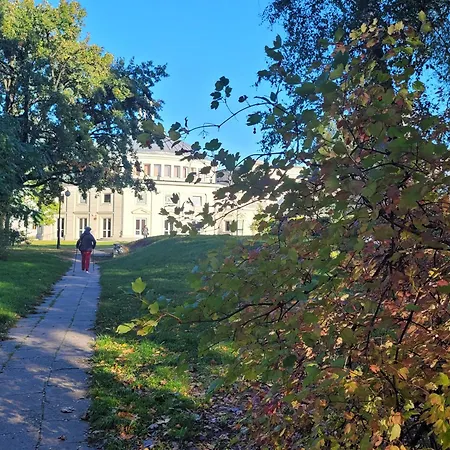 Metro Marymont Comfy *